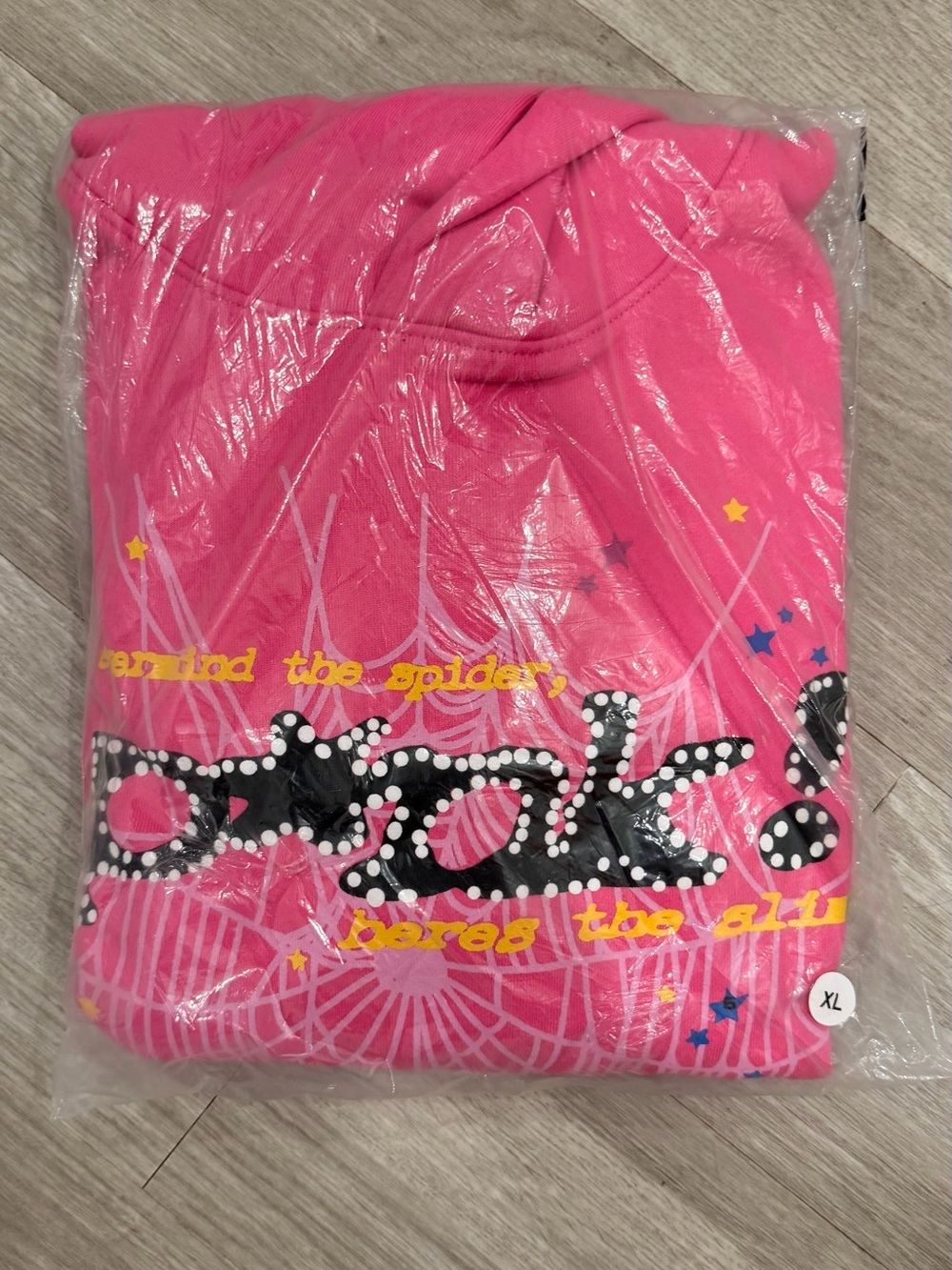Spider hoodie “p*nk”